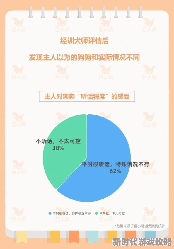 温柔狗狗行为学家教你读懂宠物情绪的2025全新指南