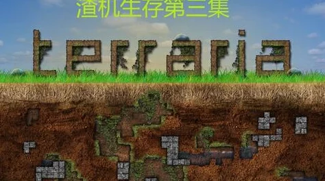 2025年泰拉瑞亚游戏干草的多样用途与最新应用